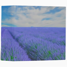 Hermoso paisaje de campos de lavanda
