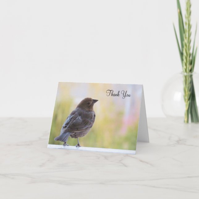 Hermoso Pájaro - Tarjeta de agradecimiento en blan (Anverso)