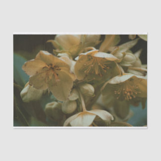 Hermoso papel de tejido floral