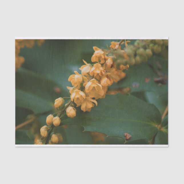 Hermoso papel de tejido floral para regalos (Anverso)