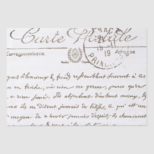 Hermoso papel teatral de escritura francesa postal (Anverso)