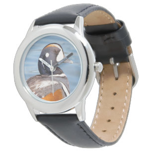 Hermoso pato Harlequin en el reloj de rock