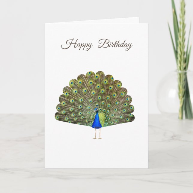Hermoso pavo real en cumpleaños blanco (Anverso)