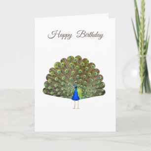 Hermoso pavo real en cumpleaños blanco
