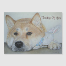 hermoso perro akita pensando en ti