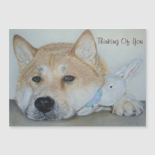 hermoso perro akita pensando en ti