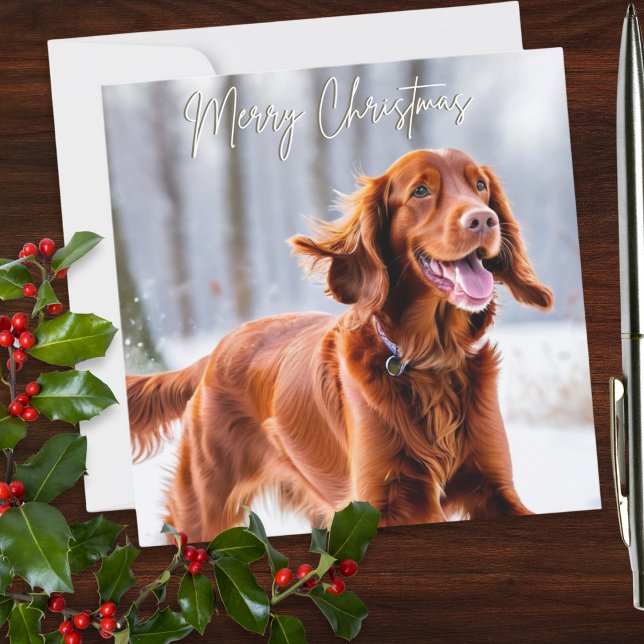 Hermoso perro de raza Setter Rojo Irlandés Navidad (An elegant personalized Christmas card with picture of an Irish Red Setter dog in the winter snow)