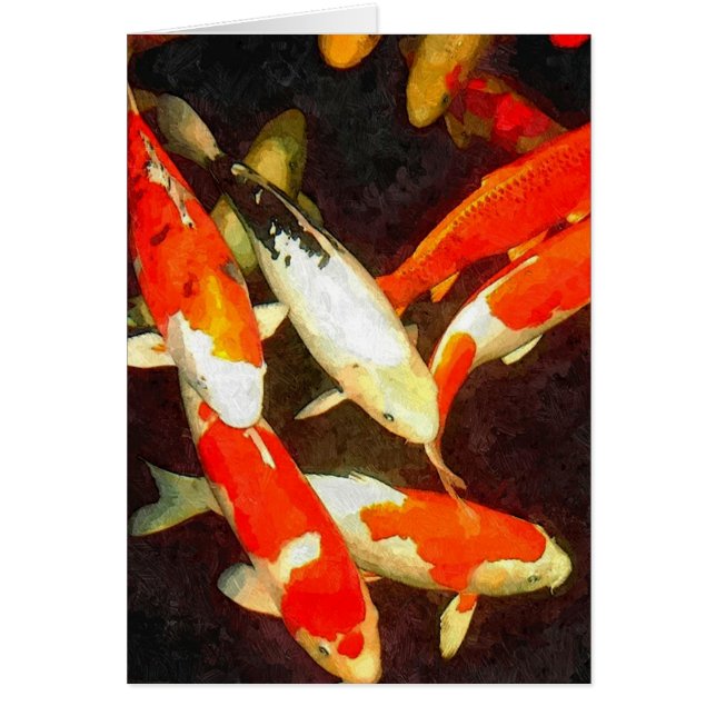 Hermoso Pescado De Koi En Un Estanque (Frente)