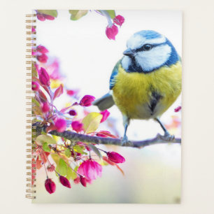 Hermoso planificador de aves de primavera
