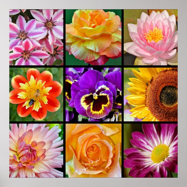 Hermoso poster de impresión de collage de flores (Frente)