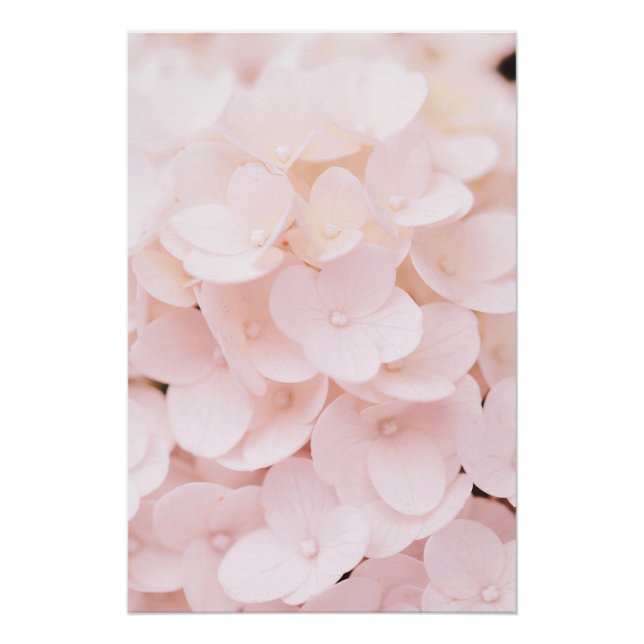 Hermoso Poster floral de Petales de flores rosa cl (Anverso)