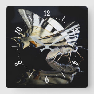 Hermoso reloj cuadrado de la mariposa