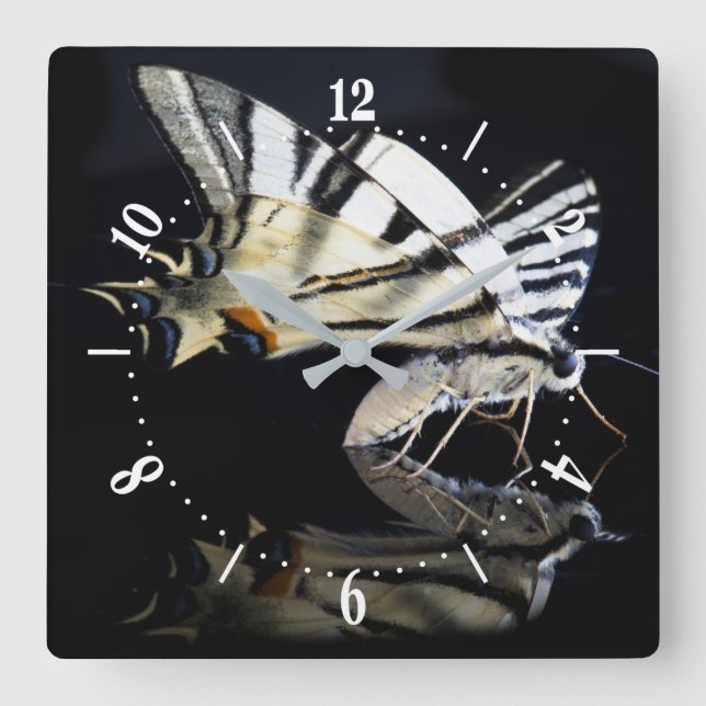 Hermoso reloj cuadrado de la mariposa (Anverso)