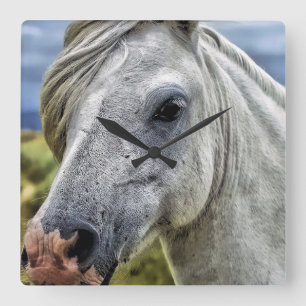 Hermoso reloj de caballo gris