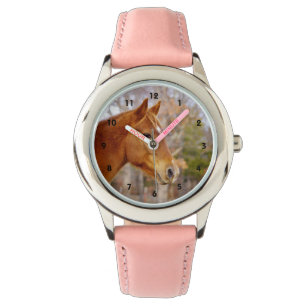 Hermoso reloj de caballos de castaño