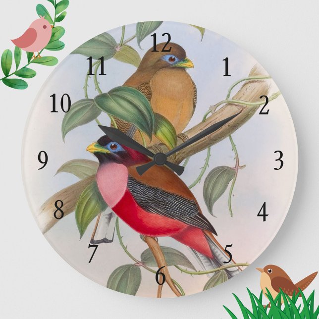 Hermoso reloj de pared de acrílico de pájaros de a (A beautiful and colorful vintage birds clock to liven up your space!)