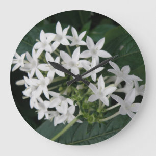 Hermoso reloj de pared de flores tropicales blanca