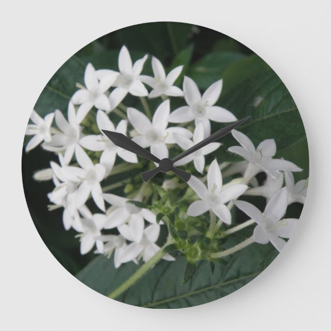 Hermoso reloj de pared de flores tropicales blanca (Anverso)
