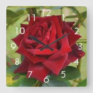 Hermoso reloj de pared de rosa roja