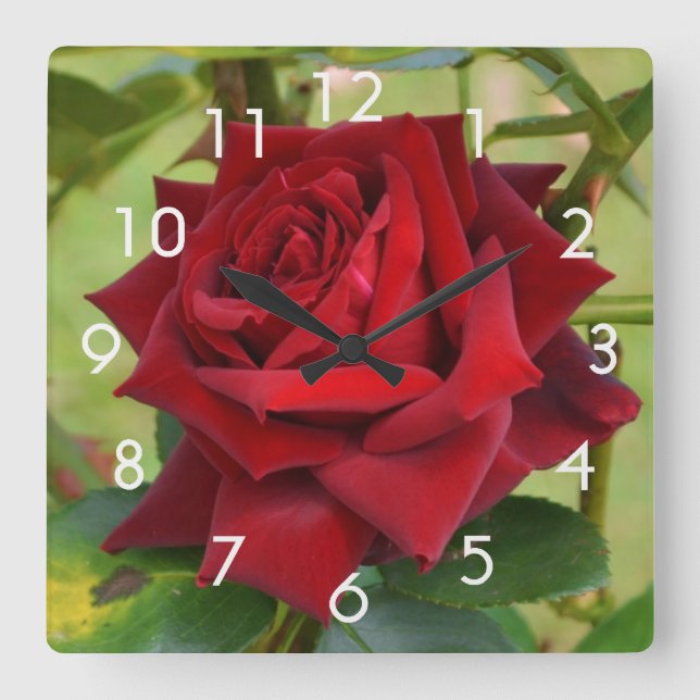 Hermoso reloj de pared de rosa roja (Anverso)