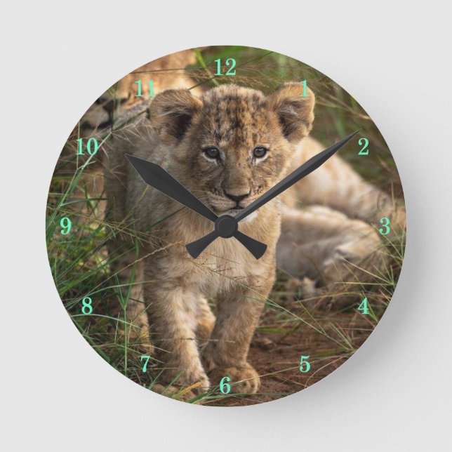 Hermoso reloj de pared de vida silvestre (Anverso)