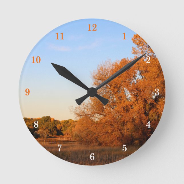 Hermoso Reloj de pared exterior (Anverso)