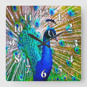 Hermoso reloj de pavo real o cambio a tu foto