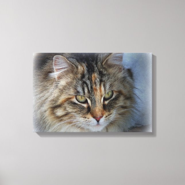 Hermoso retrato de gato salvaje en lienzo (Anverso)