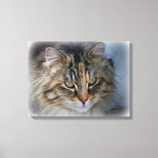 Hermoso retrato de gato salvaje en lienzo (Anverso)