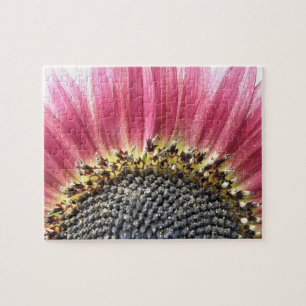 Hermoso rompecabezas de girasol rosado