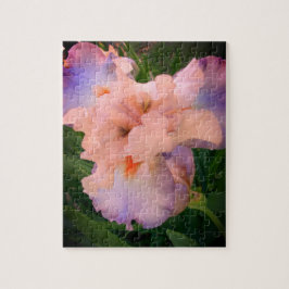 Hermoso rompecabezas de Iris