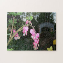 Hermoso rompecabezas de jardín