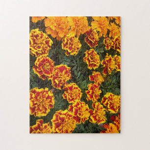 Hermoso rompecabezas de Marigolds Jigsaw