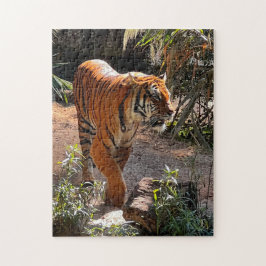 Hermoso rompecabezas del tigre de Bengala