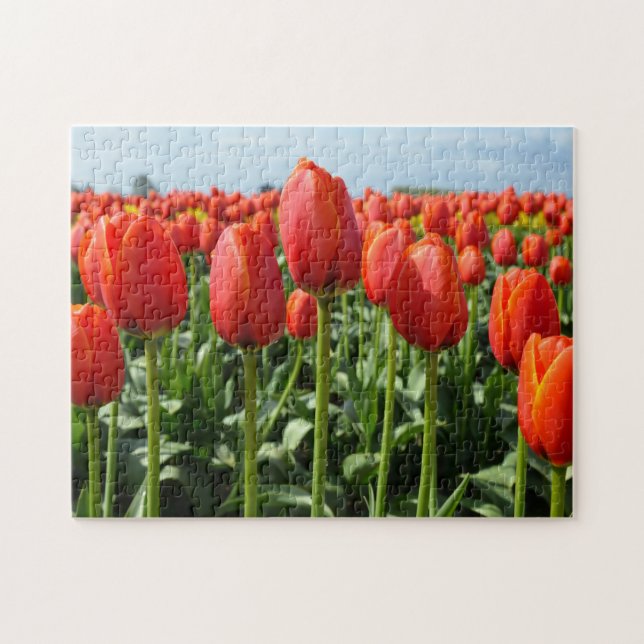 Hermoso rompecabezas rojo (Horizontal)