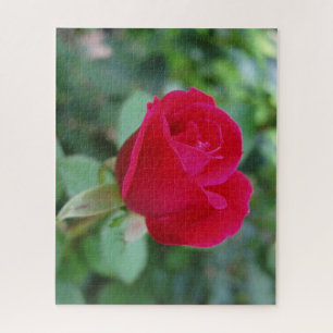 Hermoso rompecabezas Rosa