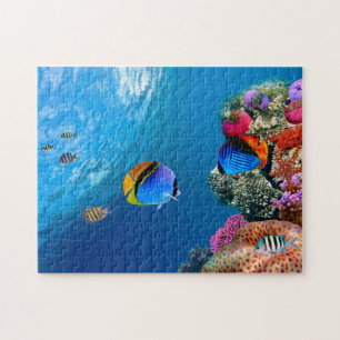 Hermoso rompecabezas subacuático de coral