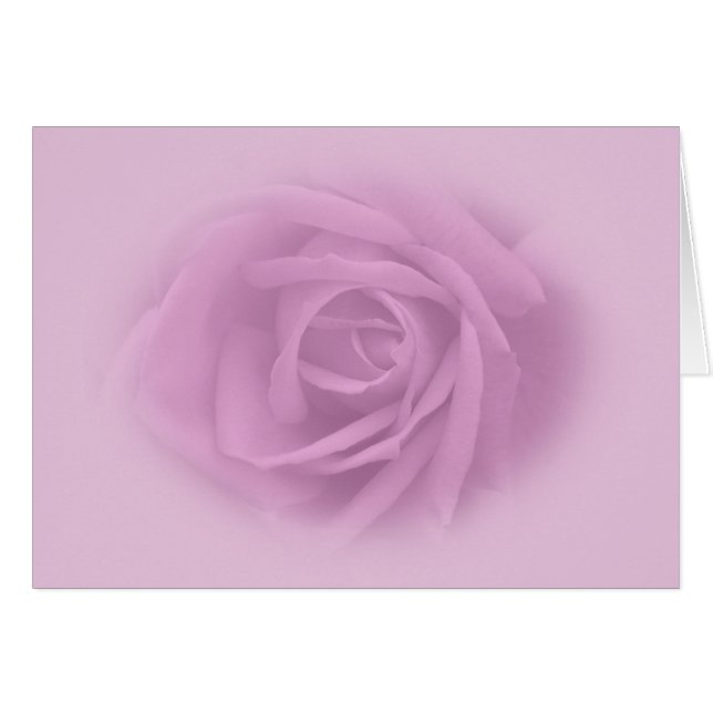 Hermoso Rosa Lilac (Anverso (Horizontal))