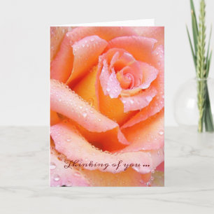 Hermoso Rosa Pensando En Tu Tarjeta