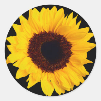 Hermoso Sello para sobres Pegatina de girasol amar