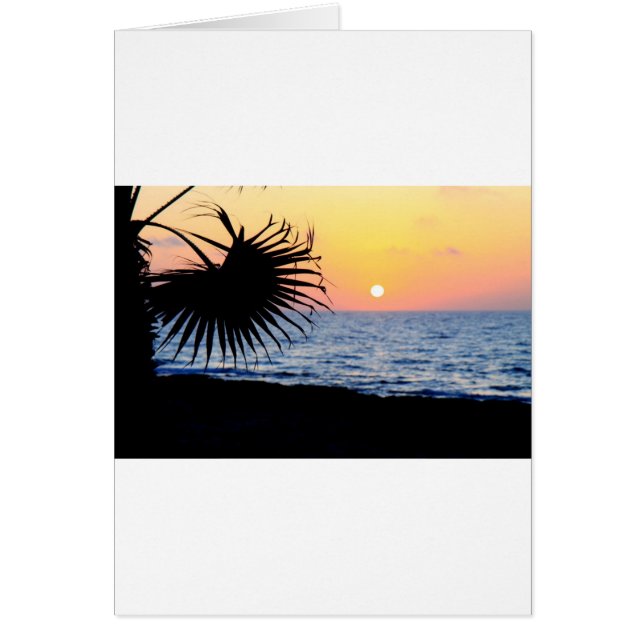 HERMOSO SOL DE PLAYA (Frente)