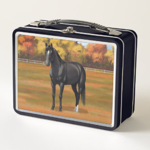 Hermoso Stallion de caballos del Barrio Negro