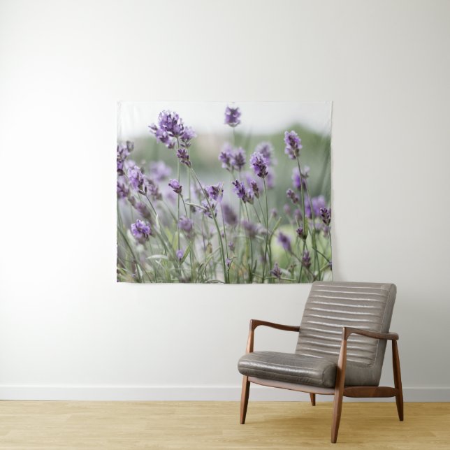 Hermoso tapiz púrpura de campo de lavanda (In situ (horizontal))