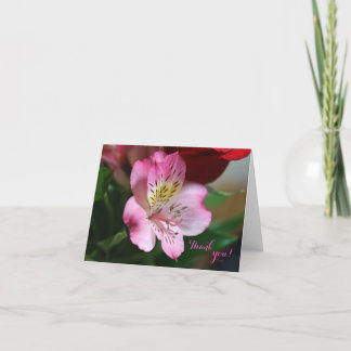Hermoso Tarjeta de agradecimiento