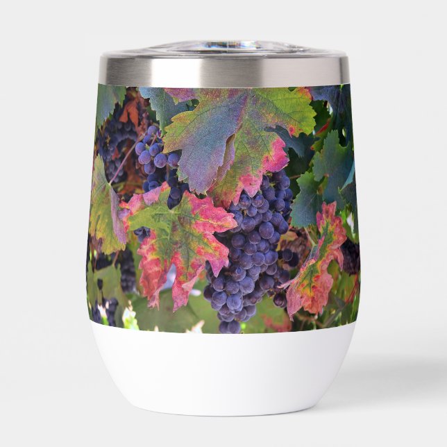 Hermoso vidrio de vino con uvas (Frente)