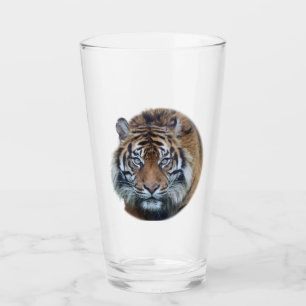Hermoso vidrio fotográfico de tigre de Bengala