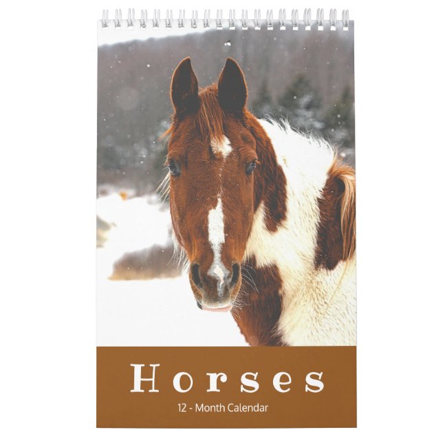 Hermosos caballos Calendario de Caballos Pequeños  (Tapa)