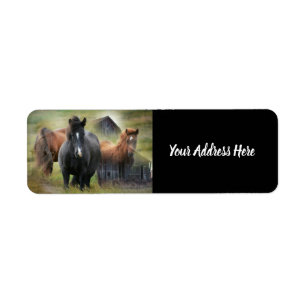 Hermosos caballos y rústica etiqueta de granero