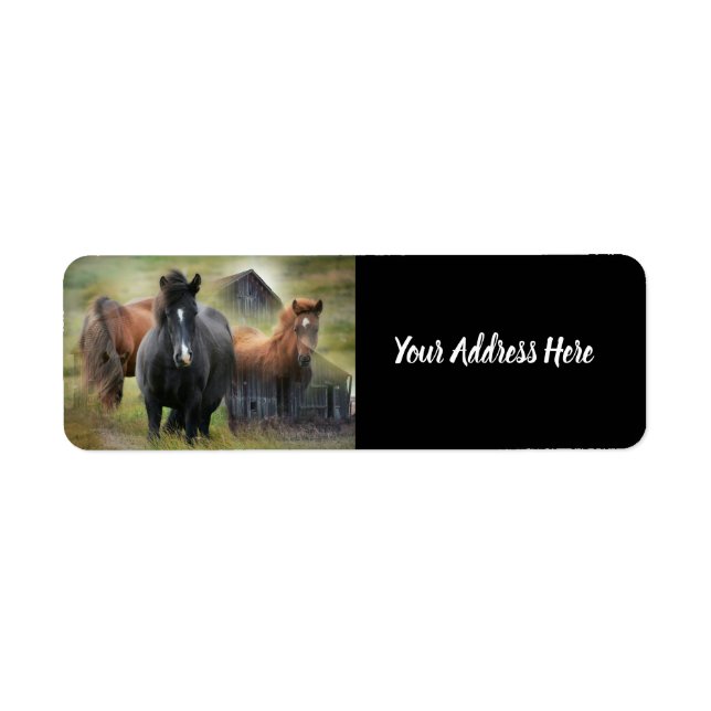 Hermosos caballos y rústica etiqueta de granero (Frente)