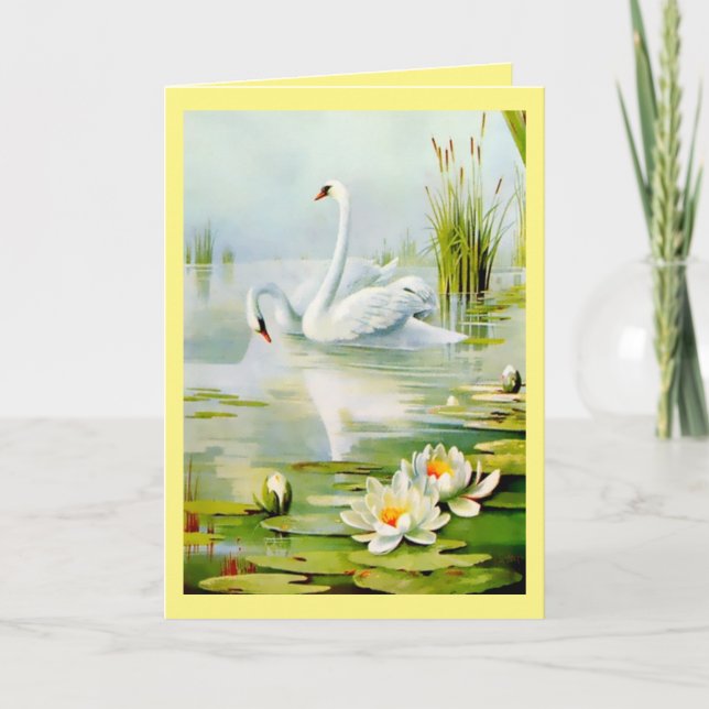 Hermosos cisnes, lirios de agua y cócteles (Anverso)
